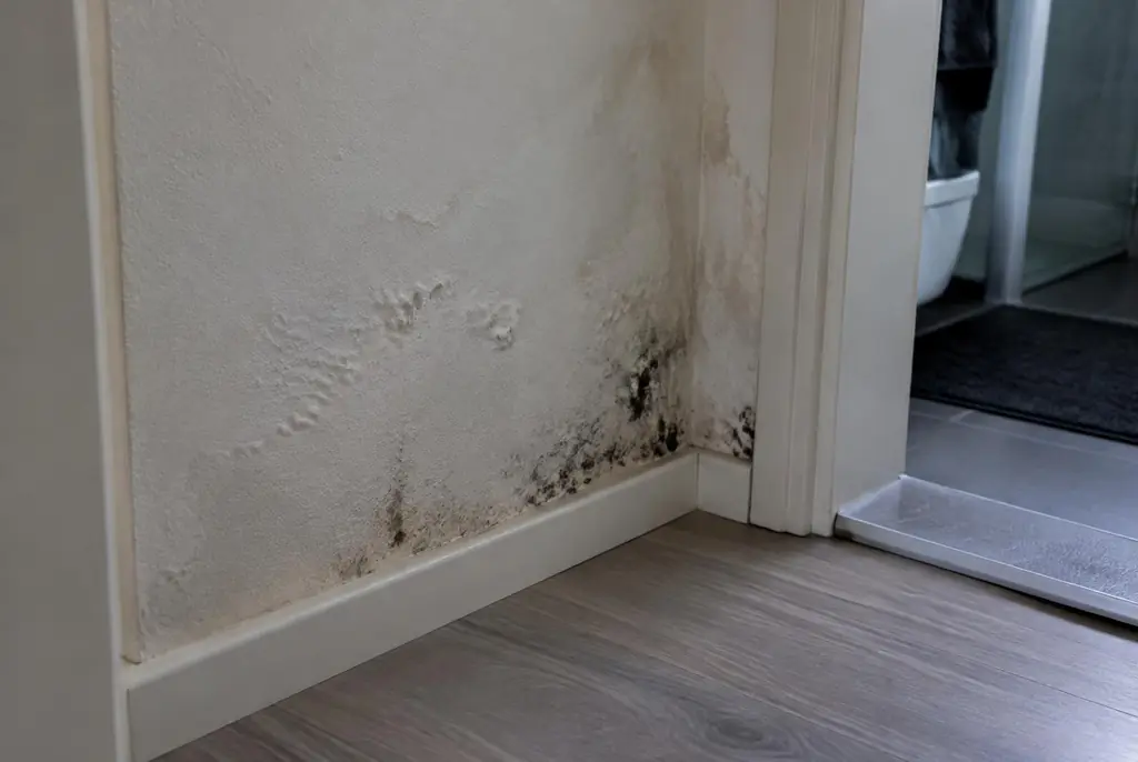 Lekdetectie Nieuwveen – vochtplek met schimmel op een muur